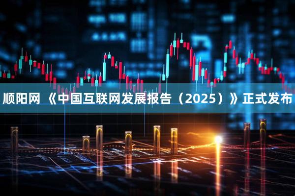 顺阳网 《中国互联网发展报告（2025）》正式发布