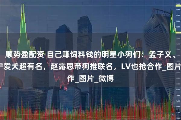 顺势盈配资 自己赚饲料钱的明星小狗们：孟子义、刘宇宁爱犬超有名，赵露思带狗推联名，LV也抢合作_图片_微博