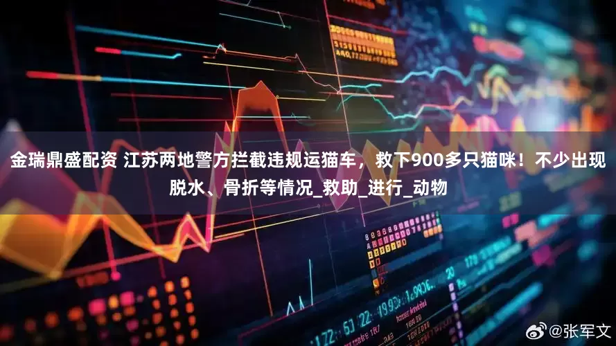 金瑞鼎盛配资 江苏两地警方拦截违规运猫车，救下900多只猫咪！不少出现脱水、骨折等情况_救助_进行_动物