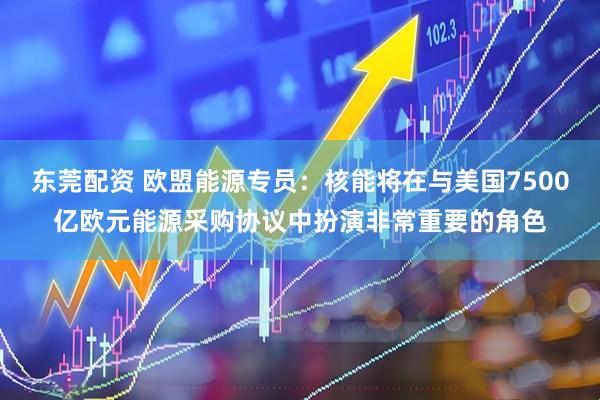 东莞配资 欧盟能源专员：核能将在与美国7500亿欧元能源采购协议中扮演非常重要的角色