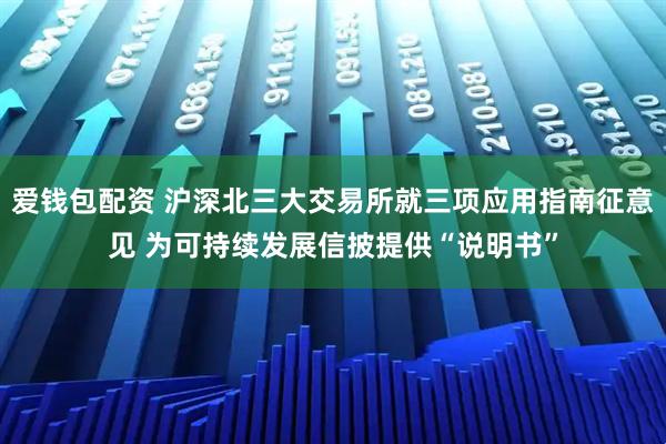 爱钱包配资 沪深北三大交易所就三项应用指南征意见 为可持续发展信披提供“说明书”