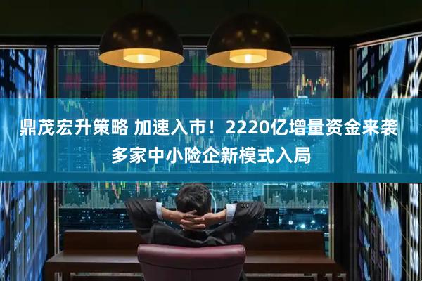 鼎茂宏升策略 加速入市！2220亿增量资金来袭 多家中小险企新模式入局