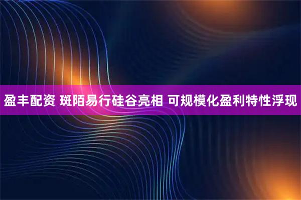 盈丰配资 斑陌易行硅谷亮相 可规模化盈利特性浮现